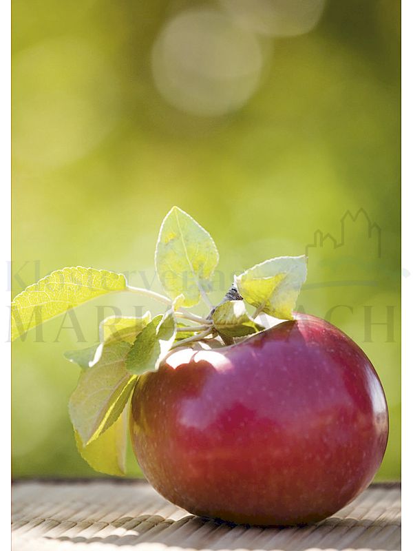 Foto: Mut haben (Apfel)