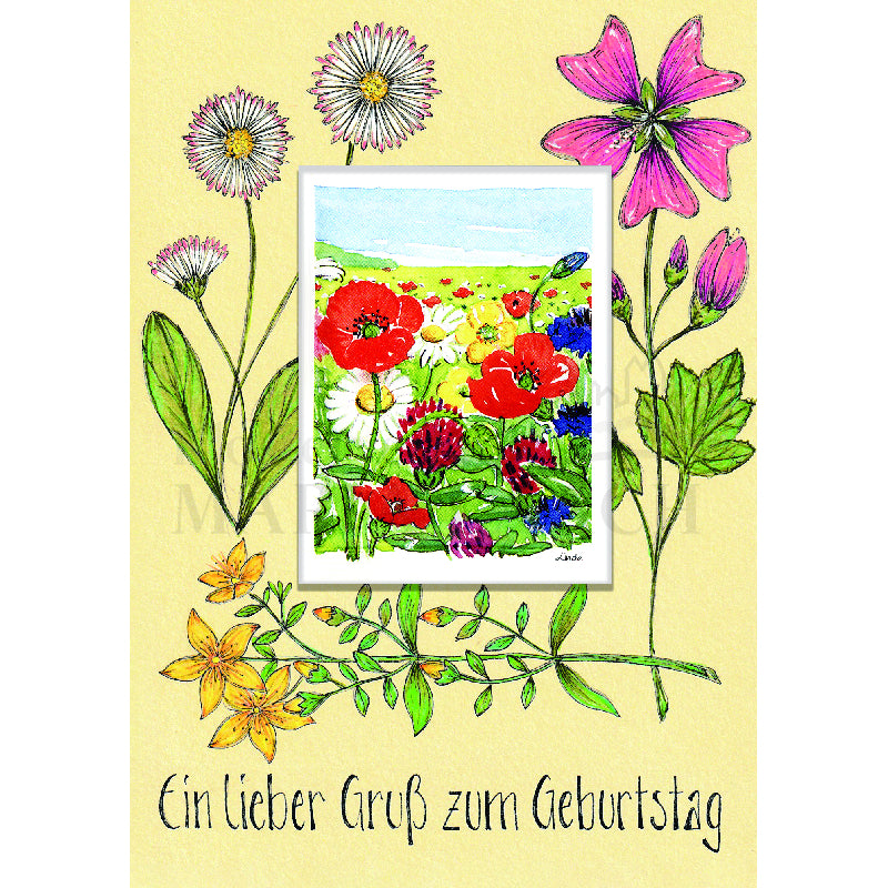 Ein lieber Gruß zum Geburtstag - Wildblumen Doppelkarte mit Samentütchen