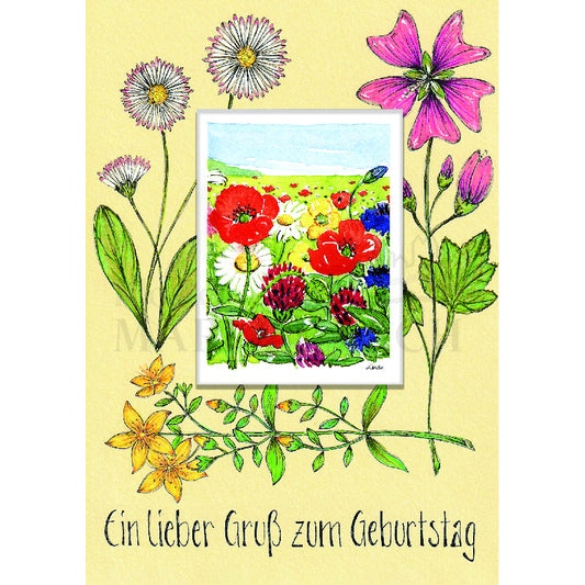 Ein lieber Gruß zum Geburtstag - Wildblumen Doppelkarte mit Samentütchen