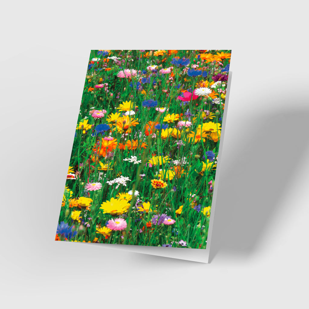 Glückwunschkarte zum Geburtstag „Sommerblumenwiese"