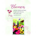 842025_Grusskarte-mit-Samentuetchen_Blumenwiese